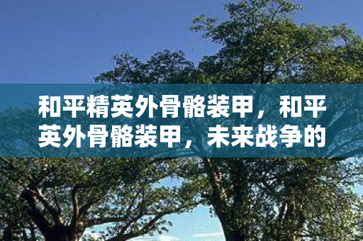 和平精英外骨骼装甲，和平英外骨骼装甲，未来战争的新篇章