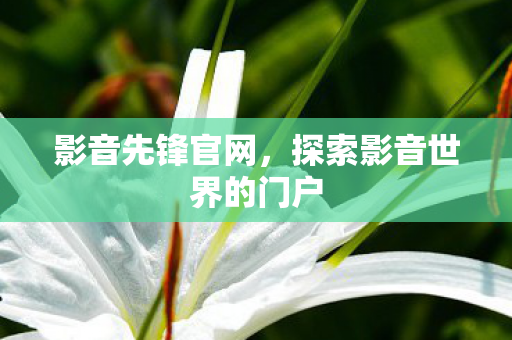 影音先锋官网，探索影音世界的门户