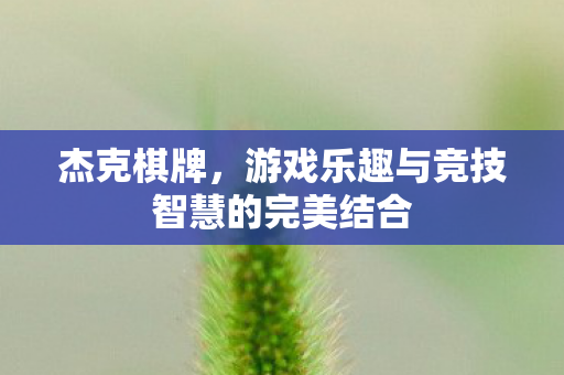 杰克棋牌，游戏乐趣与竞技智慧的完美结合