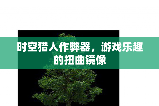 时空猎人作弊器，游戏乐趣的扭曲镜像