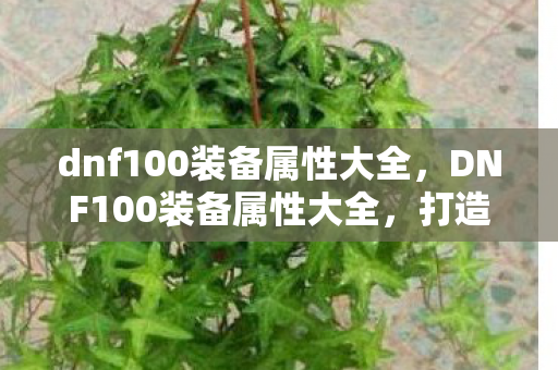 dnf100装备属性大全，DNF100装备属性大全，打造你的终极战斗装备