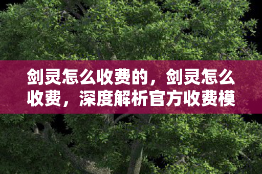 剑灵怎么收费的，剑灵怎么收费，深度解析官方收费模式