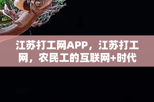 江苏打工网APP，江苏打工网，农民工的互联网+时代
