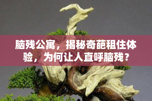 脑残公寓，揭秘奇葩租住体验，为何让人直呼脑残？