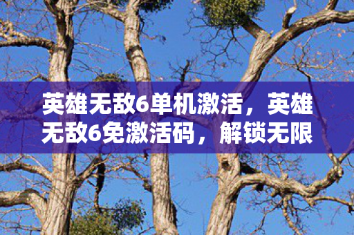 英雄无敌6单机激活，英雄无敌6免激活码，解锁无限可能的正版游戏体验