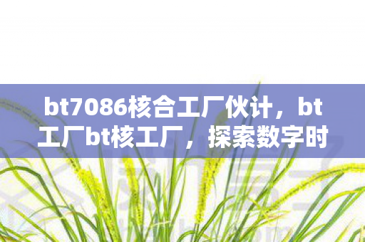 bt7086核合工厂伙计，bt工厂bt核工厂，探索数字时代的娱乐新生态