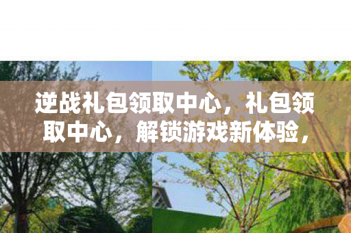逆战礼包领取中心，礼包领取中心，解锁游戏新体验，官方授权更安心