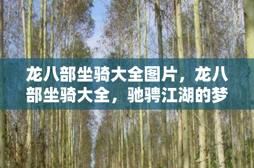 龙八部坐骑大全图片，龙八部坐骑大全，驰骋江湖的梦幻坐骑