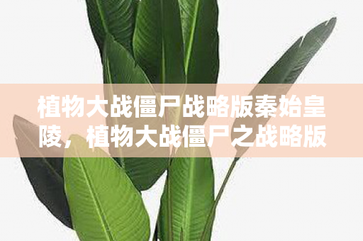 植物大战僵尸战略版秦始皇陵，植物大战僵尸之战略版，策略与智慧的碰撞