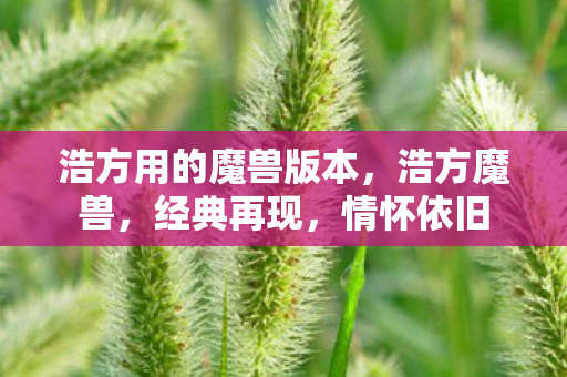 浩方用的魔兽版本,浩方魔兽,经典再现,情怀依旧 浩方用的魔兽版本,浩方魔兽,经典再现,情怀依旧