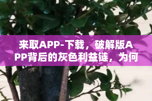 来取APP-下载，破解版APP背后的灰色利益链，为何用户仍趋之若鹜？