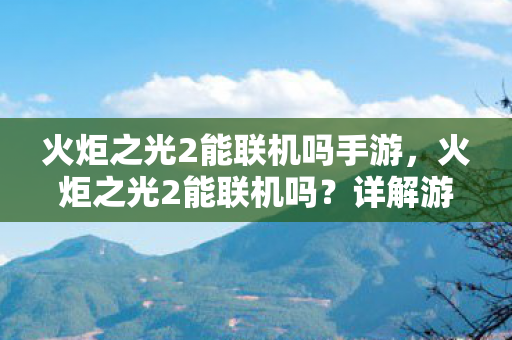 火炬之光2能联机吗手游，火炬之光2能联机吗？详解游戏的多人合作体验