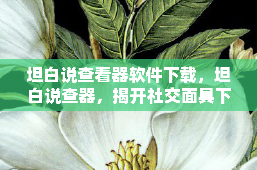 坦白说查看器软件下载，坦白说查器，揭开社交面具下的真相