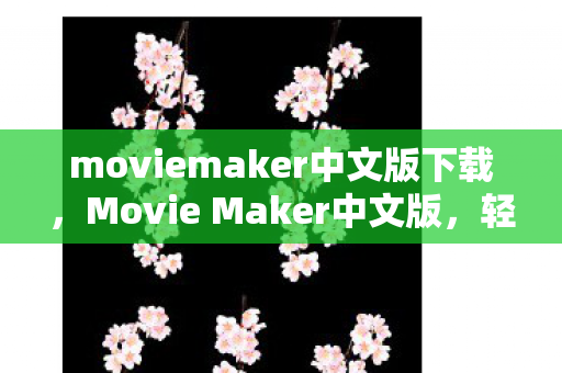 moviemaker中文版下载，Movie Maker中文版，轻松编辑，创意无限