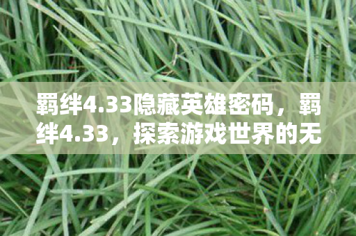 羁绊4.33隐藏英雄密码，羁绊4.33，探索游戏世界的无限可能