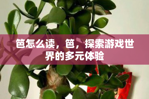 笆怎么读，笆，探索游戏世界的多元体验