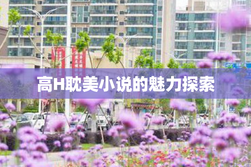 高H耽美小说的魅力探索