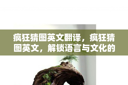 疯狂猜图英文翻译，疯狂猜图英文，解锁语言与文化的奇妙之旅