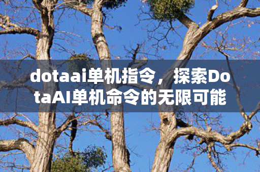 dotaai单机指令，探索DotaAI单机命令的无限可能