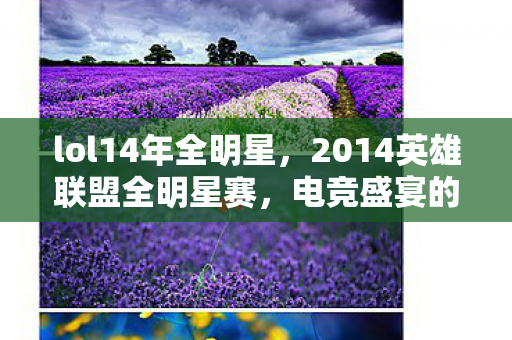 lol14年全明星，2014英雄联盟全明星赛，电竞盛宴的辉煌时刻