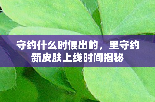 守约什么时候出的，里守约新皮肤上线时间揭秘