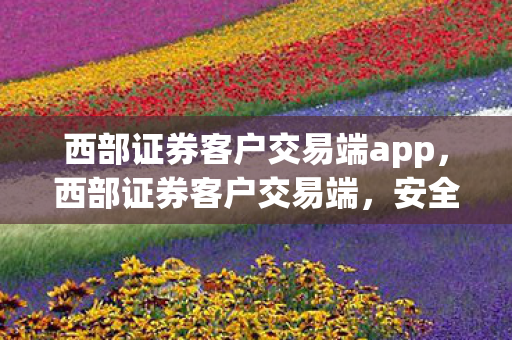 西部证券客户交易端app，西部证券客户交易端，安全、高效、便捷的证券交易新体验
