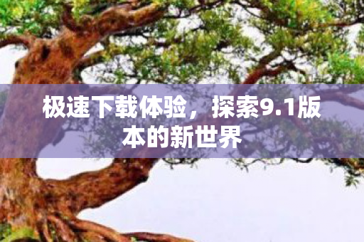 极速下载体验，探索9.1版本的新世界