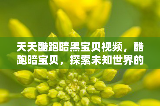 天天酷跑暗黑宝贝视频,酷跑暗宝贝,探索未知世界的神秘冒险 天天酷跑暗黑宝贝视频,酷跑暗宝贝,探索未知世界的神秘冒险