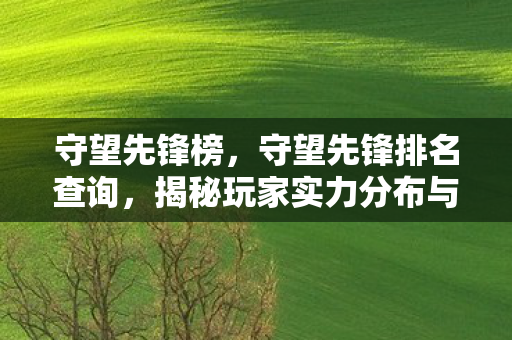 守望先锋榜,守望先锋排名查询,揭秘玩家实力分布与竞技环境 守望先锋榜,守望先锋排名查询,揭秘玩家实力分布与竞技环境