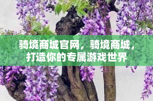 骑境商城官网,骑境商城,打造你的专属游戏世界 骑境商城官网,骑境商城,打造你的专属游戏世界