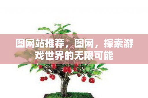 图网站推荐,图网,探索游戏世界的无限可能 图网站推荐,图网,探索游戏世界的无限可能