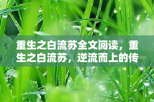 重生之白流苏全文阅读，重生之白流苏，逆流而上的传奇人生