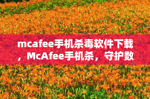 mcafee手机杀毒软件下载，McAfee手机杀，守护数字生活的安全卫士