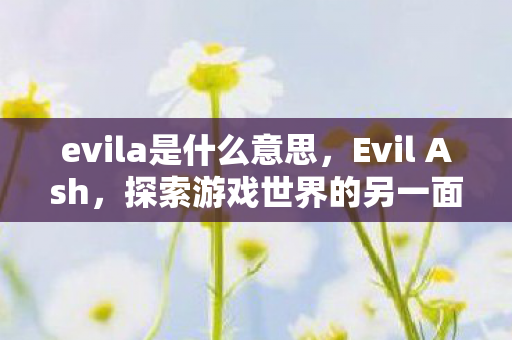 evila是什么意思，Evil Ash，探索游戏世界的另一面