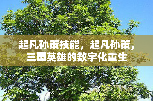 起凡孙策技能，起凡孙策，三国英雄的数字化重生