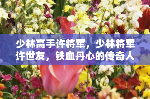 少林高手许将军，少林将军许世友，铁血丹心的传奇人生