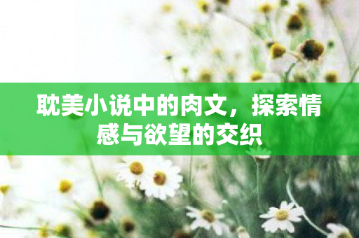 耽美小说中的肉文，探索情感与欲望的交织