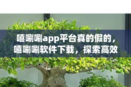 嘻唰唰app平台真的假的，嘻唰唰软件下载，探索高效便捷的软件获取方式
