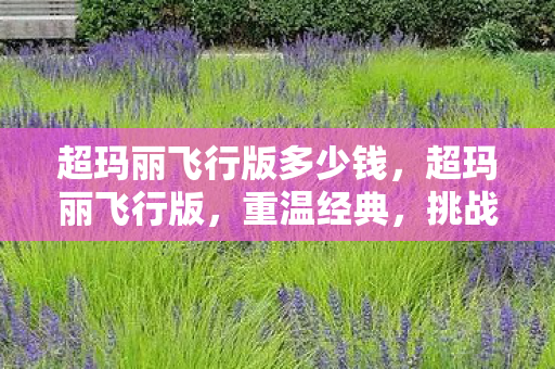 超玛丽飞行版多少钱，超玛丽飞行版，重温经典，挑战新高度