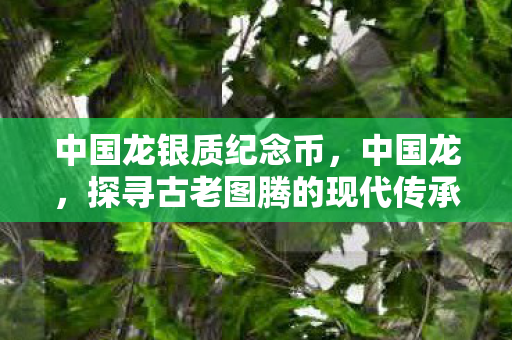 中国龙银质纪念币，中国龙，探寻古老图腾的现代传承