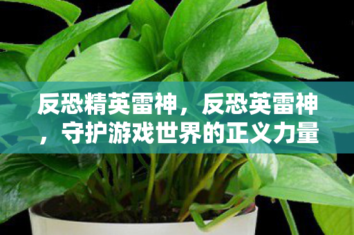反恐精英雷神,反恐英雷神,守护游戏世界的正义力量 反恐精英雷神,反恐英雷神,守护游戏世界的正义力量