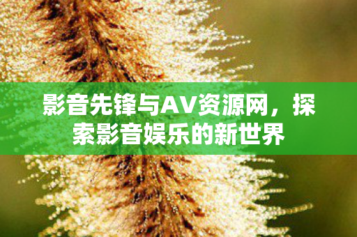 影音先锋与AV资源网，探索影音娱乐的新世界