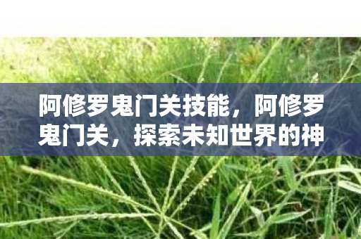 阿修罗鬼门关技能，阿修罗鬼门关，探索未知世界的神秘之旅