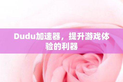Dudu加速器，提升游戏体验的利器