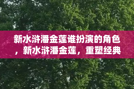 新水浒潘金莲谁扮演的角色,新水浒潘金莲,重塑经典,演绎传奇 新水浒潘金莲谁扮演的角色,新水浒潘金莲,重塑经典,演绎传奇
