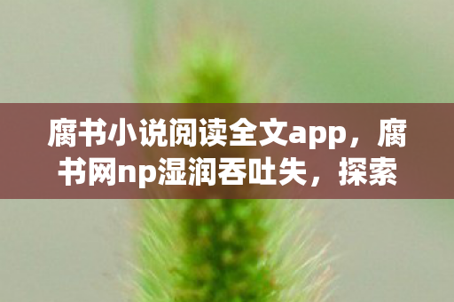 腐书小说阅读全文app，腐书网np湿润吞吐失，探索网络文学的另类魅力