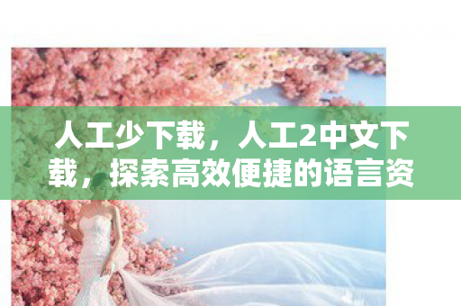 人工少下载，人工2中文下载，探索高效便捷的语言资源获取方式