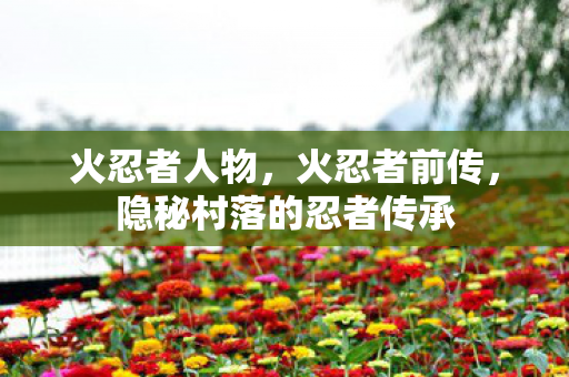 火忍者人物,火忍者前传,隐秘村落的忍者传承 火忍者人物,火忍者前传,隐秘村落的忍者传承