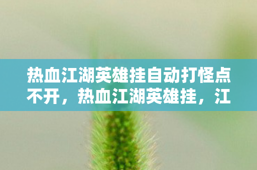 热血江湖英雄挂自动打怪点不开，热血江湖英雄挂，江湖路上的奇遇与冒险