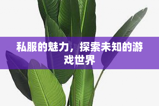 私服的魅力，探索未知的游戏世界